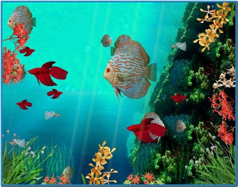 Screensaver Wallpaper Download Animated Wallpaper Fish 1122x884