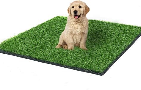 Fortune Star 393in X 315in Artificial Grass Dog Grass Mat And Grass