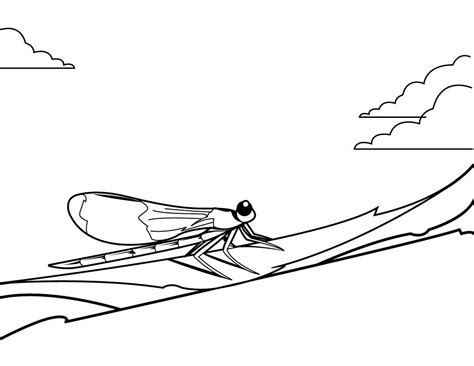 Explore 623989 free printable coloring pages for you can use our amazing online tool to color and edit the following dragon coloring pages pdf. Free Printable Dragonfly Coloring Pages For Kids | Animal Place