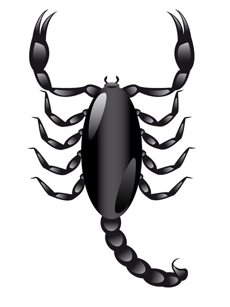 Scorpion 515452 Vector Art At Vecteezy