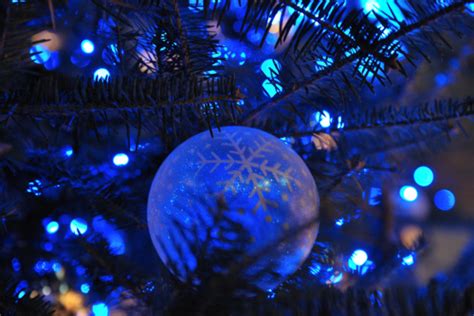 Here you can explore hq christmas ornament transparent illustrations, icons and clipart with filter setting like size, type, color etc. Blue Christmas Lights And Ornament Pictures, Photos, and ...