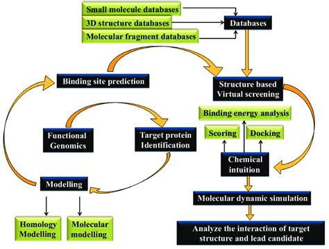 Drug Development Process Flowchart