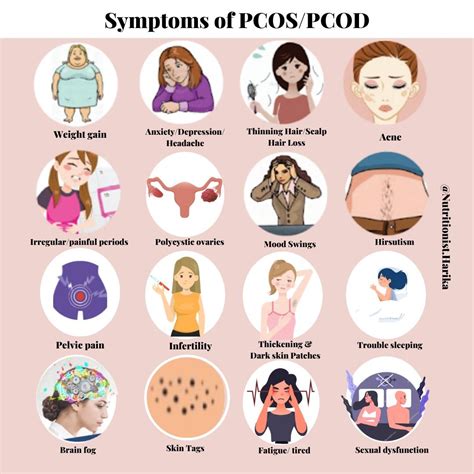 The Four Types Of Pcos You Need To Know About And How To Get Diagnosed