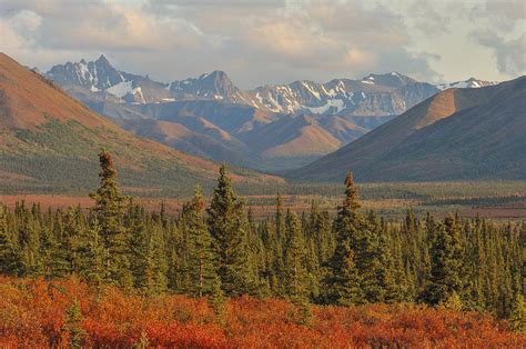 Alaska Autumn Landscape Photograph By David Drew Fine Art America