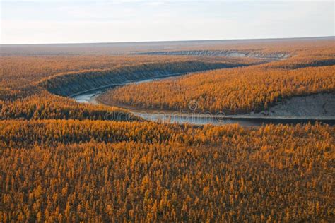 Bank Of The River And Siberian Taiga In The Autumn Stock Image Image