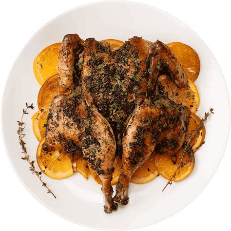 Delicious Cooks Venture Products - Optimal Healing Remedies