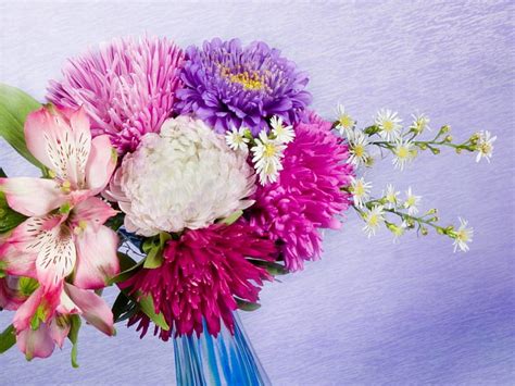 720p Free Download Flowers Pastels Colours Colours Pastels Flower