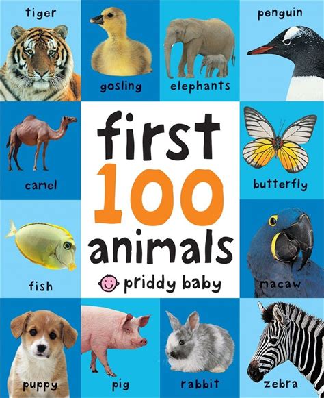 Download First 100 Animals Ebook Pdf Animal Book Toddler Books Best
