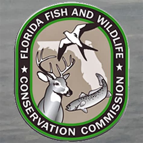 Florida Fish And Wildlife Conservation Commission Youtube