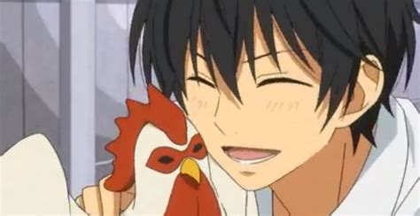 Aw I Think Everyone Needs A Chicken ♡ ~haru And Nagoya My Little