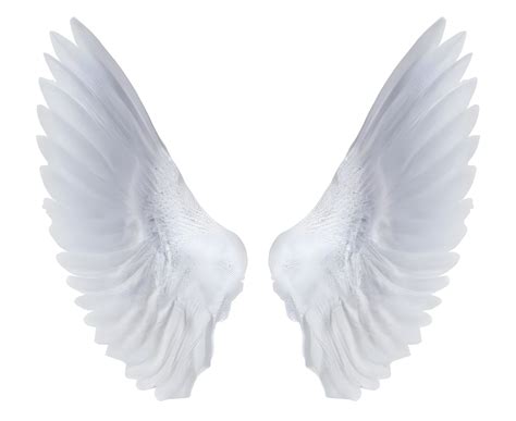 White Angel Wings 21887869 Png