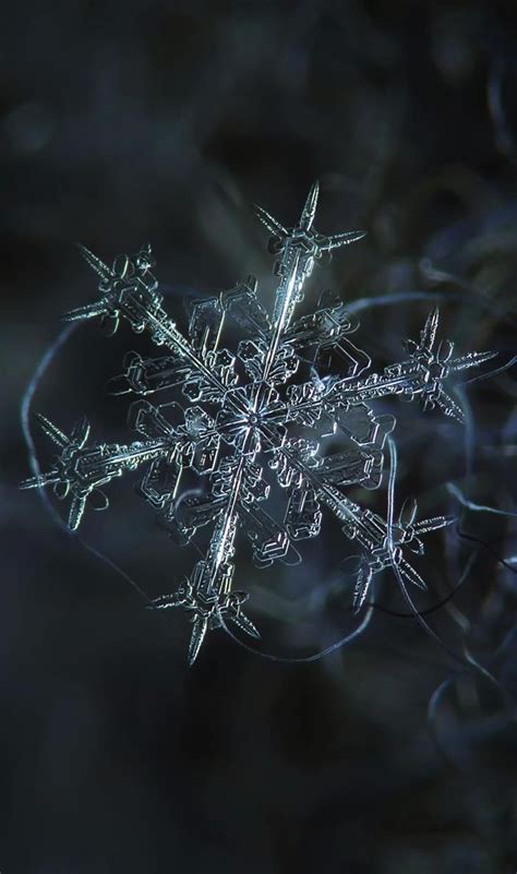 Top 10 Beautiful Macro Photos Snowflakes Snowflakes Real Winter Scenes
