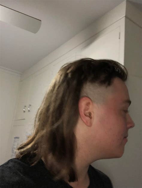 My New Mullet Mullets