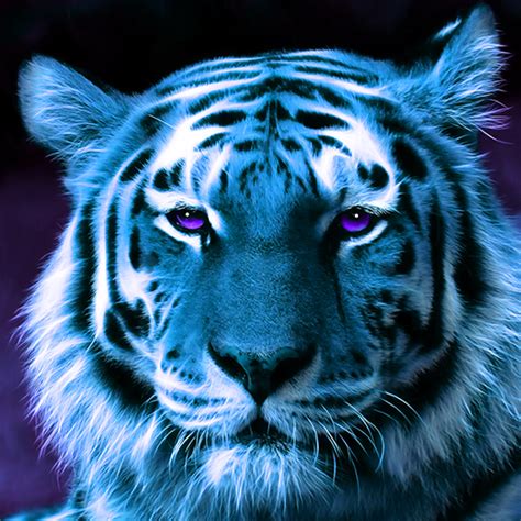 Just a collection of aesthetic anime profile pics and icons that you could use for your profile. Purple Tiger Profile Picture - http://free-profile-pics.com