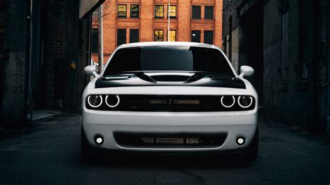 White Dodge Challenger Backiee