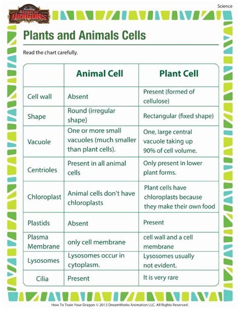 Animal And Plant Cells Worksheet Luxury Plants And Animals Cells