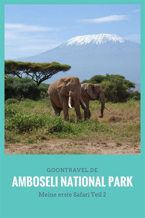 Der Amboseli National Park An Der Grenze Zu Tansania Ist Berühmt Für