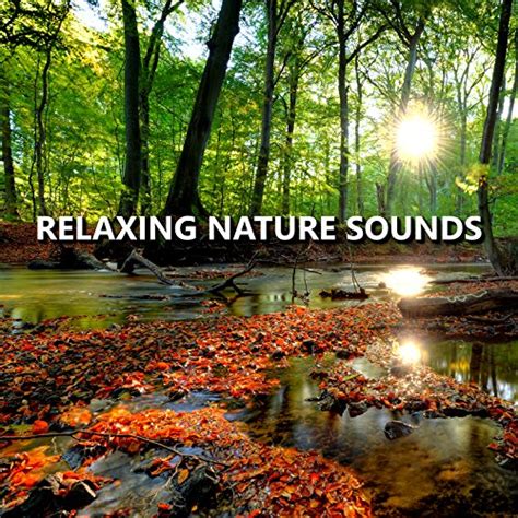 Relaxing Nature Sounds Nature Sounds Nature Music