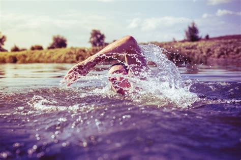 The Young Man Swimming In The River Stock Photo Image Of Splash