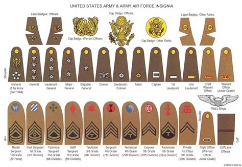 Us Army Insignia On Pinterest Military Ranks Army Rotc Army And Army