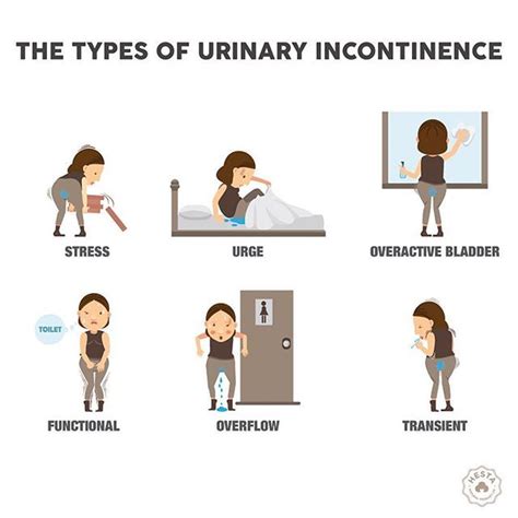 Stress Leakage Of Small Amounts Of Urine During Physical Movement