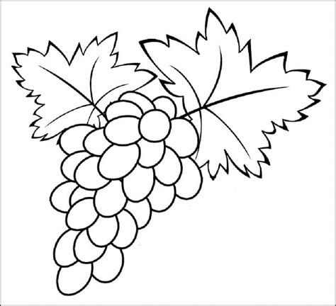 20 Gambar Buah Buahan Sketsa Terlengkap & Mudah Ditiru. Semua Ada!