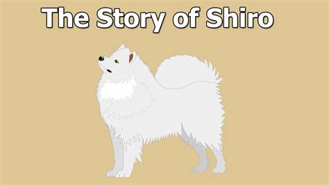The Story Of Shiro The Dog Youtube