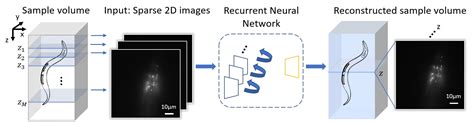 You could be involved in testing vehicle components or incorporating the latest emissions guidelines into new designs. 3D fluorescence microscopy gets a boost using recurrent neural networks