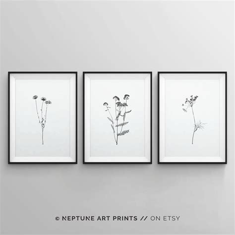 Three Black And White Prints Hanging On The Wall