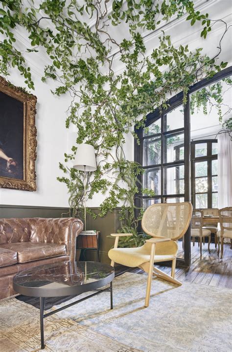 How To Decorate With Biophilia And Embracing Nature Trend