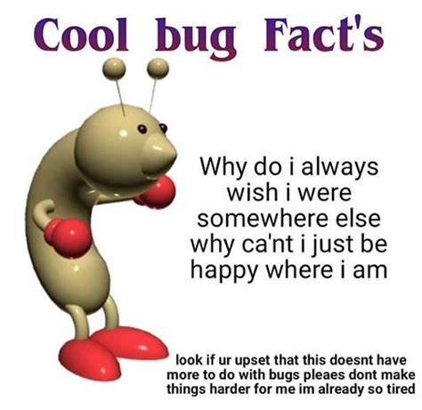 Cool Bug Facts Know Your Meme