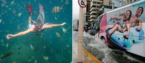 The Best Perfectly Timed Photos You Have To See Women Daily Magazine