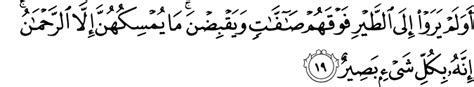 Surah Al Mulk Ayat 19 Imagesee