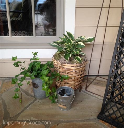 Shop plants & garden flowers and more at the home depot. Imparting Grace: Best plants for a shady porch