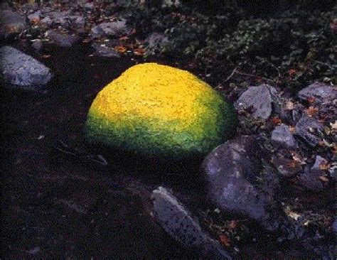 Natures Artist Andy Goldsworthy Sublime