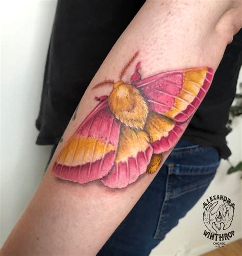 Aggregate More Than Rosy Maple Moth Tattoo Super Hot In Coedo Com Vn