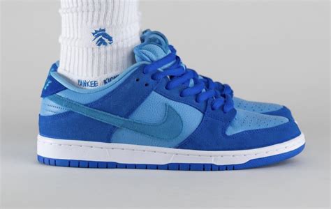 Nike Sb Dunk Low Blue Raspberry Dm0807 400