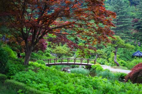 Garden Of The Morning Calm Korea Perfect Guide