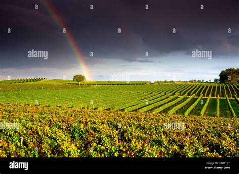 Rainbow Vineyard Of The Bordeaux Region France Stock Photo Alamy