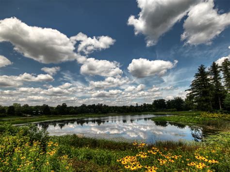 Morton Arboretum Cycling
