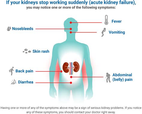 Kidney Pain Location