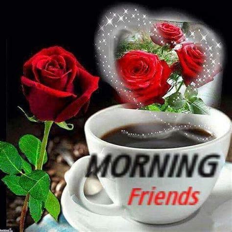 Get the right good morning messages for friends all in one place. Magical Rose Good Morning Friends Image Pictures, Photos, and Images for Facebook, Tumblr ...