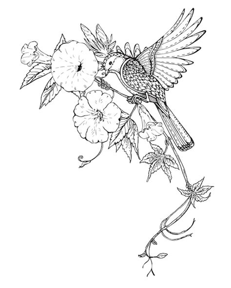 Premium Vector Illustration Of Hand Drawn Graphic Bird On Bindweed