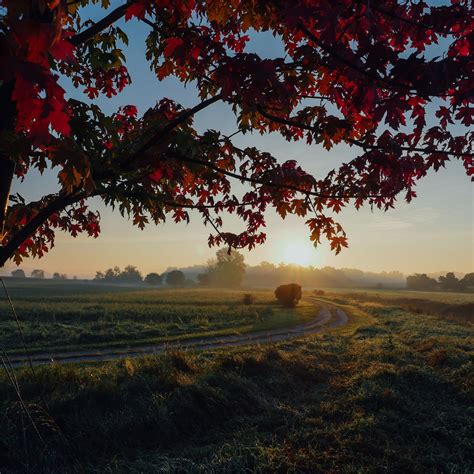 Farmland Autumn Trees 5k Ipad Pro Wallpapers Free Download