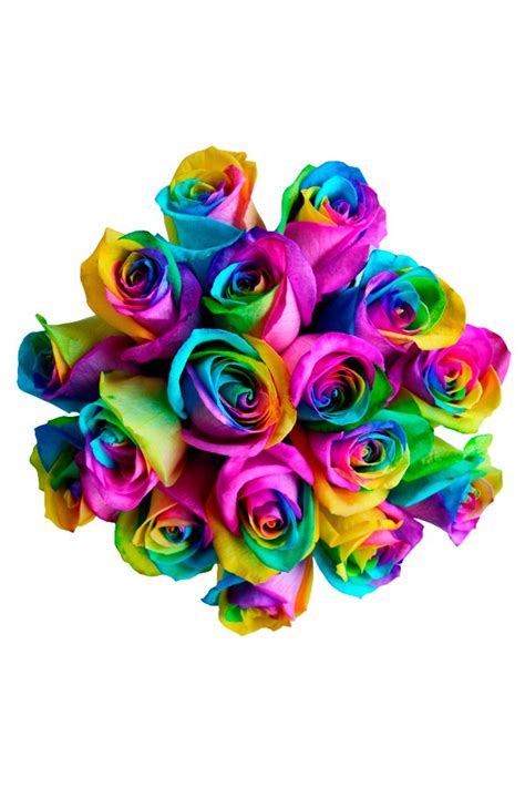 We did not find results for: Rainbow Roses, Rainbow Roses Delivery, Tie Dye Roses