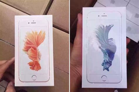 Iphone 6s Packaging And Rose Gold Iphone Shown Off In New Photos