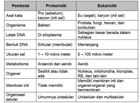 Perbedaan Sel Prokariotik Dan Eukariotik Gambar Dan Tabel Biologi Sel