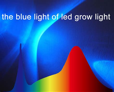 High pressure sodium lights contain. Is LED Grow Light Harmful to People's Eyes? - Atop Lighting