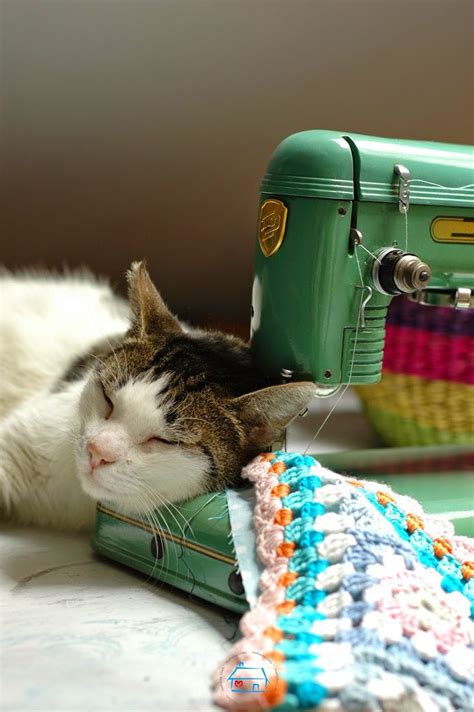 211 Best Sewing Cats Images On Pinterest Kittens Cats And Kitten