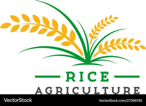 Rice Farming Logo Design Royalty Free Vector Image